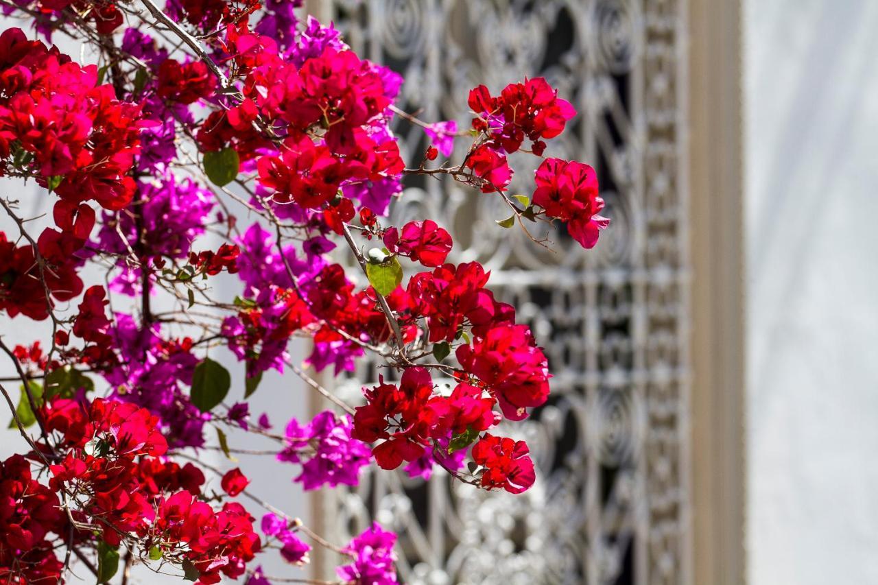 Riad Clementine Marakéš Exteriér fotografie